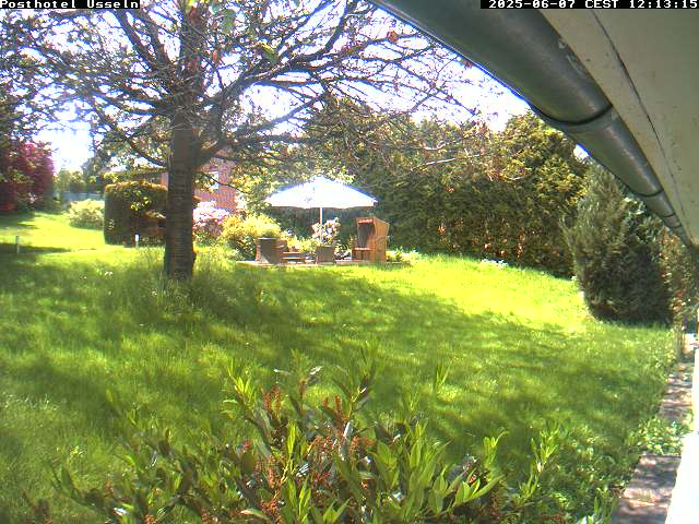 Camera Live Image