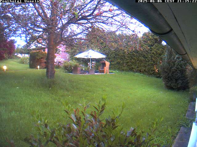 Camera Live Image